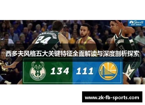 西多夫风格五大关键特征全面解读与深度剖析探索
